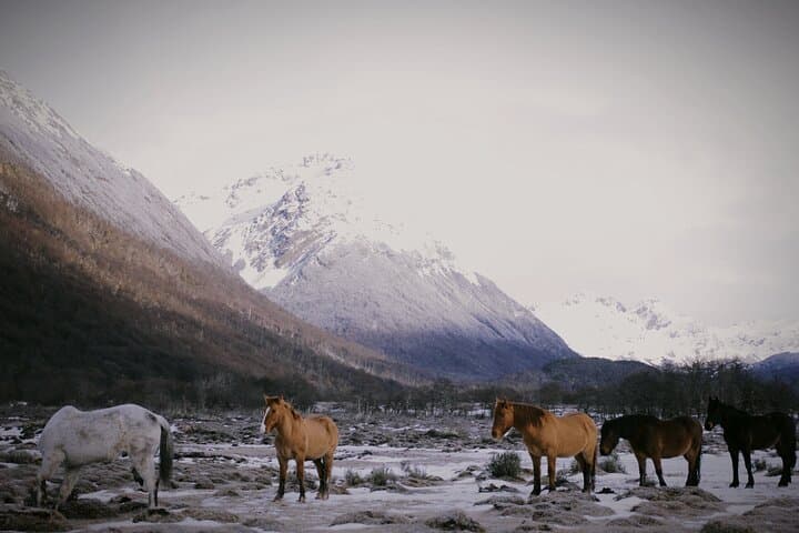 Vinciguerra Glacier Trek to Laguna Tempanos — Short Day Hike from Ushuaia photo 3