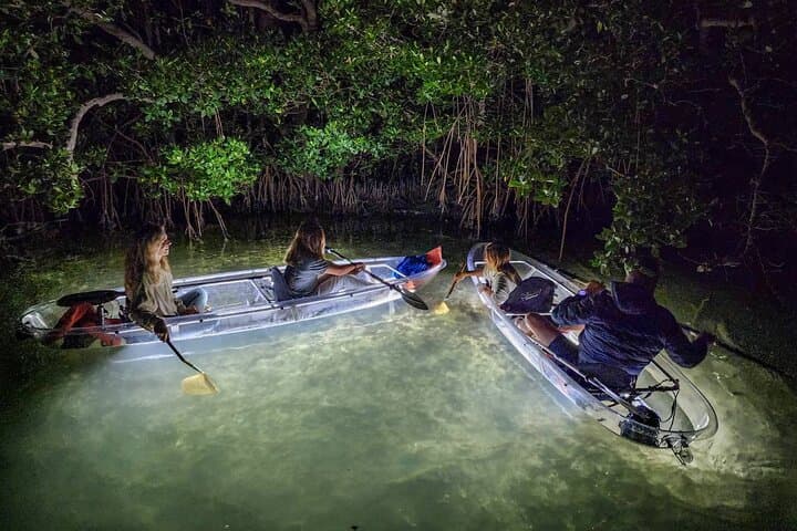 Anna Maria Island Clear Kayak LED Night Glass-Bottom Tour