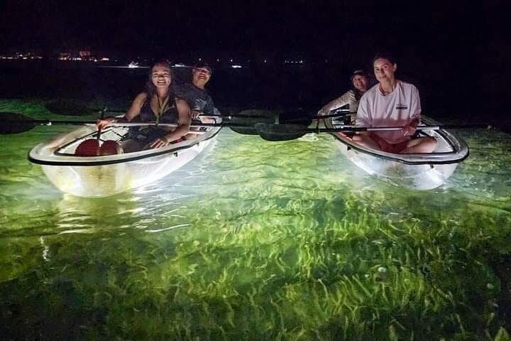 Clear Kayak LED Night Glass-Bottom Tour in Sarasota Bay