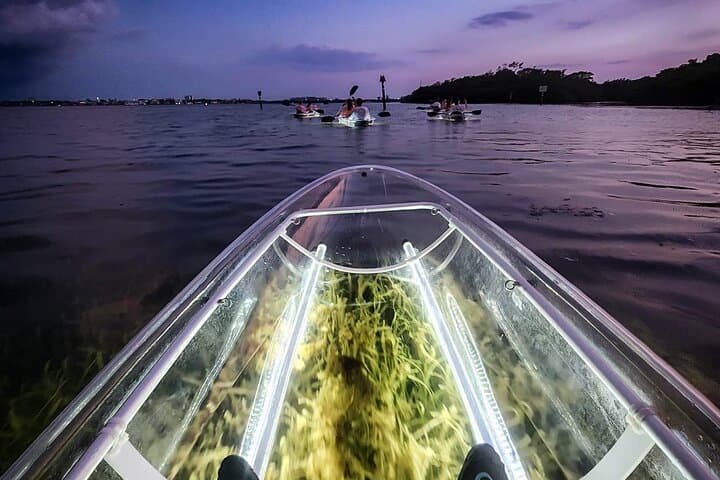 Clear Kayak LED Night Glass-Bottom Tour in Sarasota Bay photo 4