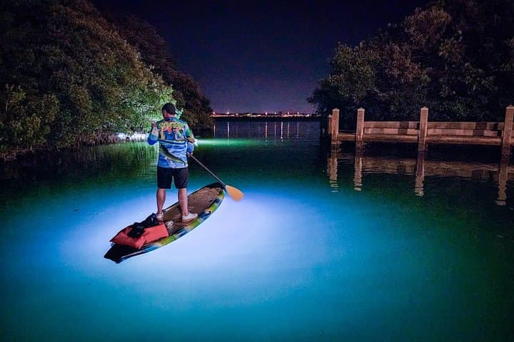 Clear Kayak LED Night Glass-Bottom Tour in Sarasota Bay photo 3
