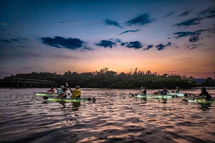 Clear Kayak LED Night Glass-Bottom Tour in Sarasota Bay photo 6