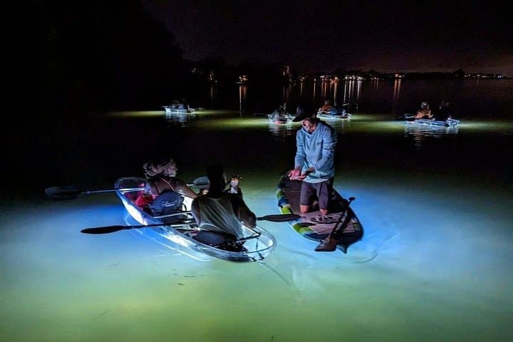 Clear Kayak LED Night Glass-Bottom Tour in Sarasota Bay photo 5