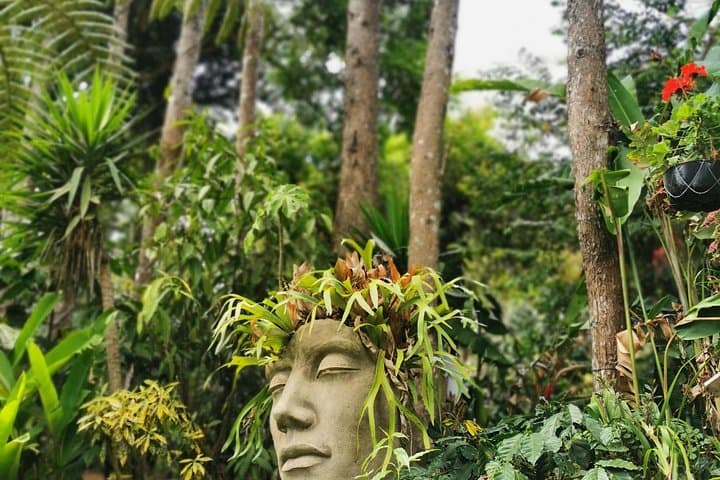 Flower Route and Coffee Route — Full-Day Private Tour from San Salvador photo 2
