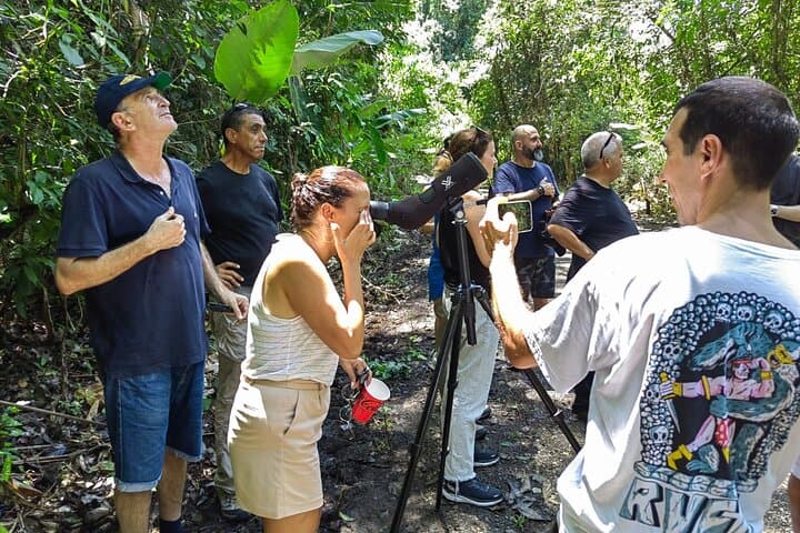Manuel Antonio National Park Guided Wildlife Tour — See Monkeys & Sloths in Quepos photo 5