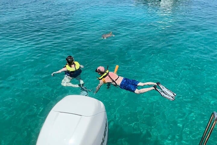 Luxury Catamaran Turtle Snorkel and Sunset Cruise in St. Thomas photo 5
