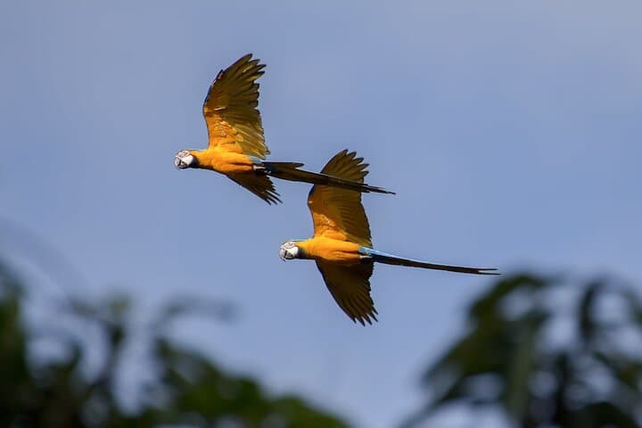 Horseback Ride Near Cartagena — Fundación Loros Eco-Ride Through Tropical Dry Forest photo 5