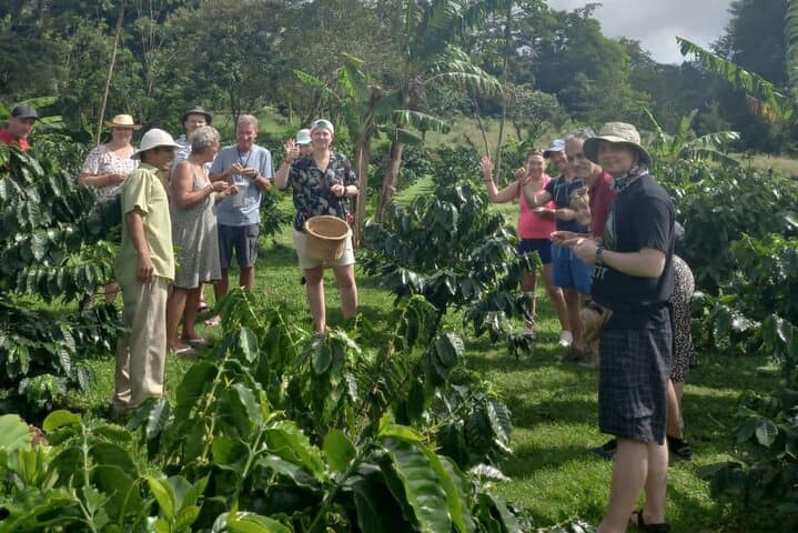 Tenorio-Miravalles Coffee, Chocolate & Sloth Trail: Biodiversity Day Tour photo 2