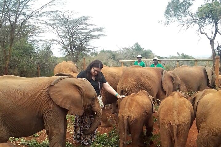 Exploring Nairobi National Park: A 4-Hour Safari Adventure on the City’s Edge photo 6