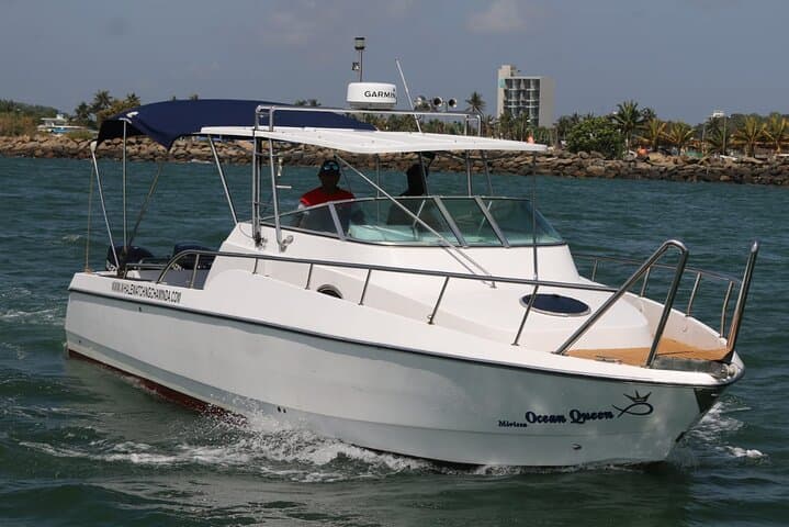 Mirissa Private Whale-Watching Cruise on a Sports Boat