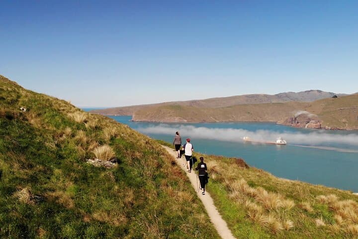 Godley Head Half-Day Guided Walk — Banks Peninsula Coastal Views & WW2 Sites photo 4