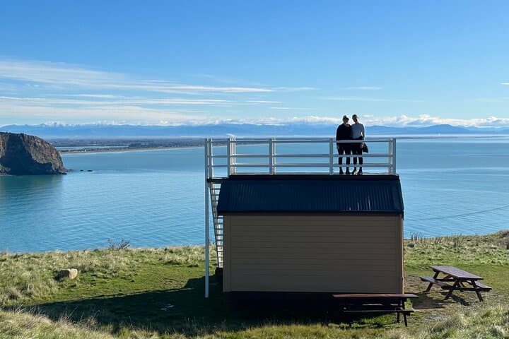 Godley Head Half-Day Guided Walk — Banks Peninsula Coastal Views & WW2 Sites photo 6