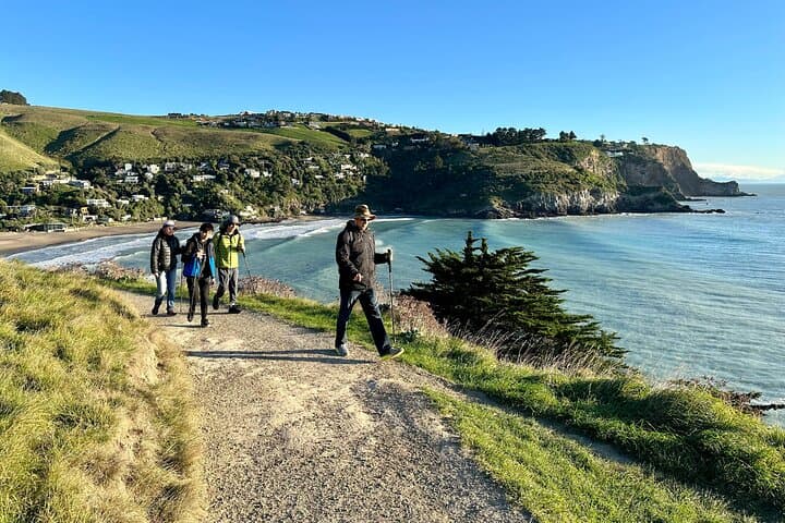 Discover the Pristine Beauty of Lyttelton's Godley Head Loop photo 5