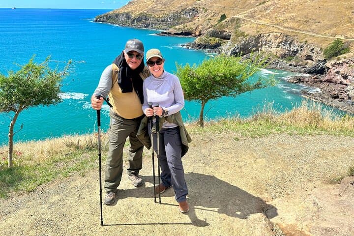 Godley Head Half-Day Guided Walk — Banks Peninsula Coastal Views & WW2 Sites photo 5