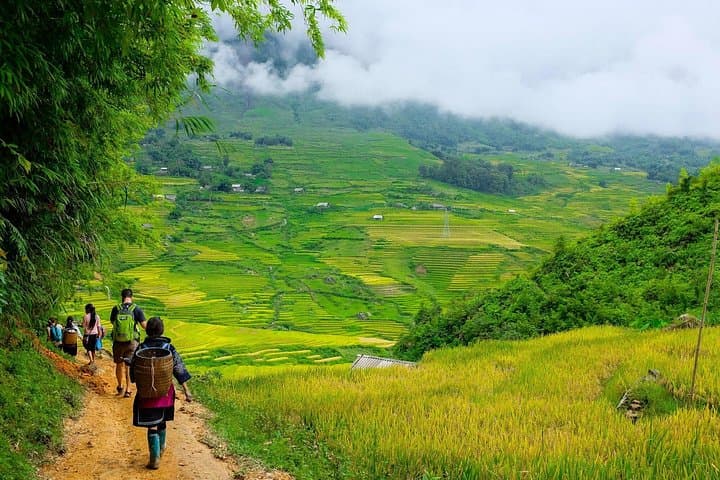 Sapa Authentic Trek: 1-Day Off-the-Beaten-Track Rice Terrace Trek & Ethnic Villages photo 4