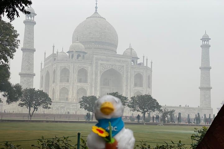 Skip-the-Line Taj Mahal Sunrise Tour from Delhi by Express Train photo 4