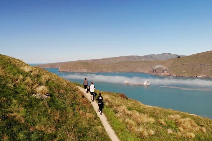 Discover the Pristine Beauty of Lyttelton's Godley Head Loop