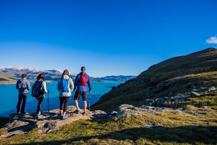 Discover the Pristine Beauty of Lyttelton's Godley Head Loop photo 2