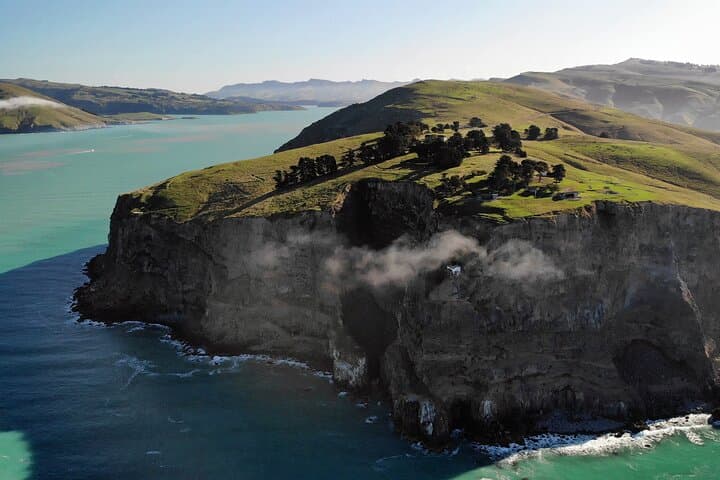 Discover the Pristine Beauty of Lyttelton's Godley Head Loop photo 4
