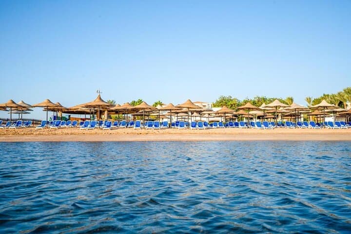 Marsa Alam Beach Relaxation Day: Private Full-Day Beach & Snorkel Experience photo 4