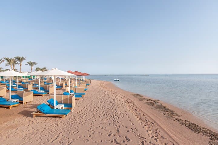 Marsa Alam Beach Relaxation Day: Private Full-Day Beach & Snorkel Experience photo 5