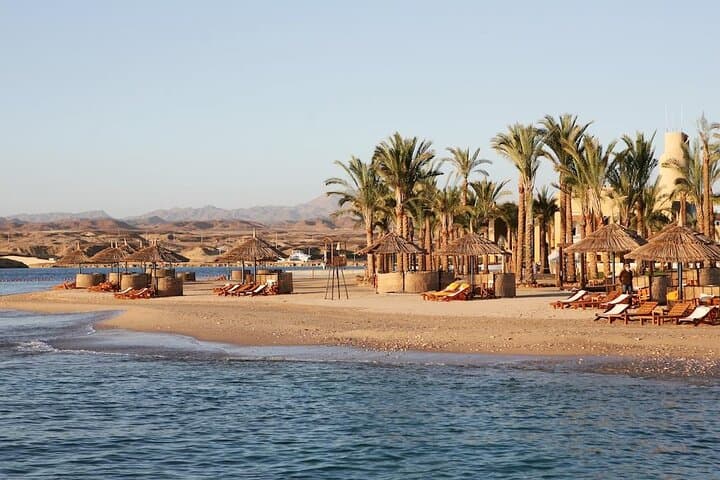 Marsa Alam Beach Relaxation Day: Private Full-Day Beach & Snorkel Experience photo 6