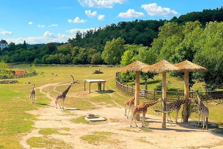 Prague Zoo Ticket with Online Audio Guide — Self-Guided Visit to Troja Zoo photo 5