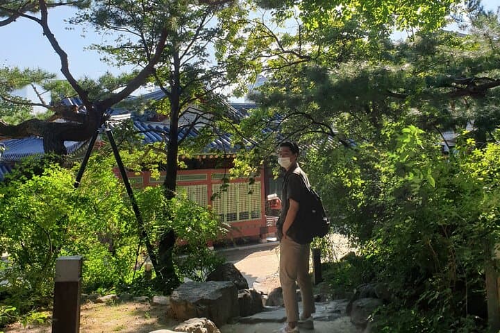 Seoul MMCA Guided Tour and Bukchon Food Walk: Art, Palaces & Authentic Korean Cuisine photo 2
