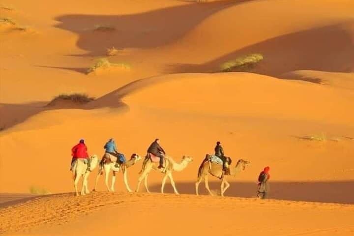 Morning Desert Safari Dubai: Sandboarding, Dune Bashing & Flamingo Birdwatching photo 2