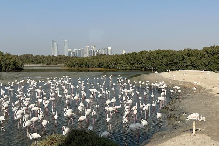 Morning Desert Safari Dubai: Sandboarding, Dune Bashing & Flamingo Birdwatching photo 4