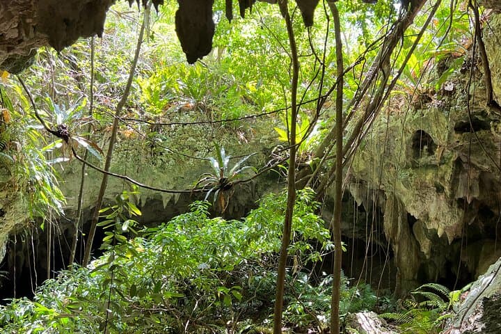 La Cueva del Indio & Manatí Water Spring Hike — Black Sand Beach, Coastal Arches and Cave Walk photo 5