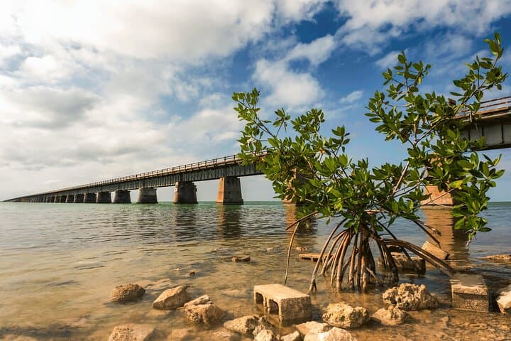 Fort Lauderdale to Key West Day Trip — 6 Hours in Key West via the Overseas Highway photo 3