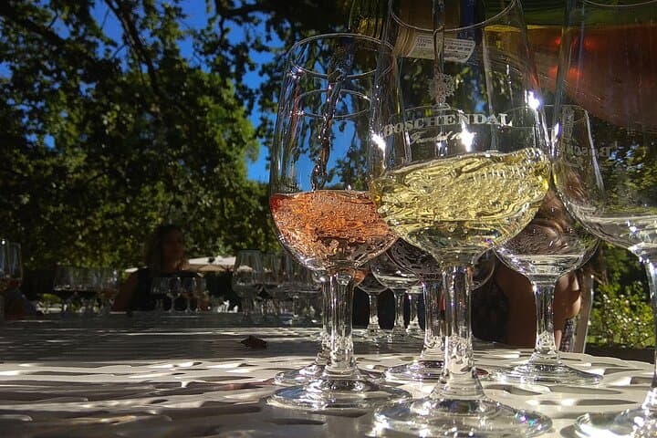 Cape Town Wine Tour: Stellenbosch & Franschhoek Tastings, Cellar Tours & Lunch photo 1
