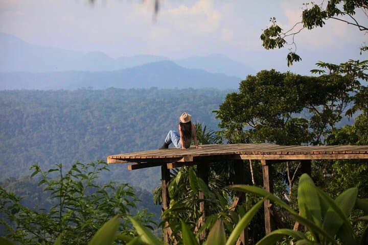 3-Day Tamandua Amazon Ecolodge Escape — All-Inclusive From Quito