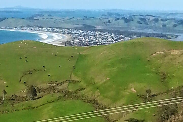 Auckland Coastal Drive: Private Matakana, Orewa & Pakiri Day Tour photo 3
