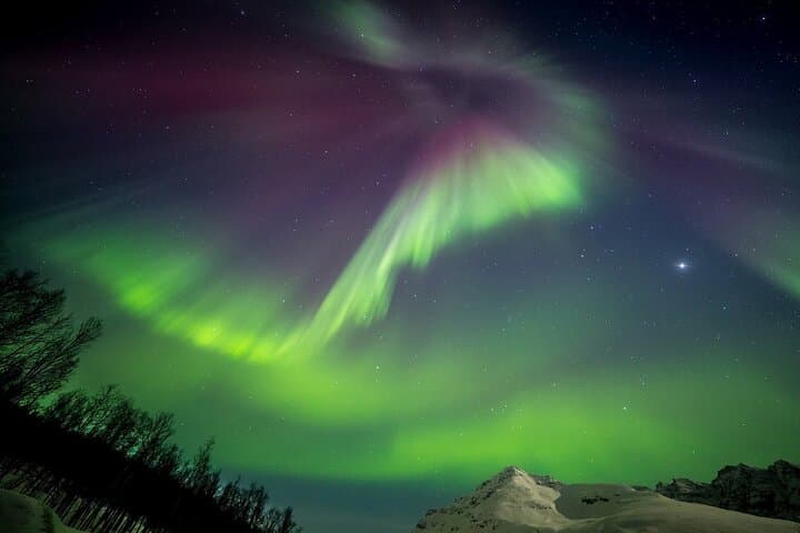 Chase the Northern Lights: Tromsø Full-Night Aurora Minibus Tour