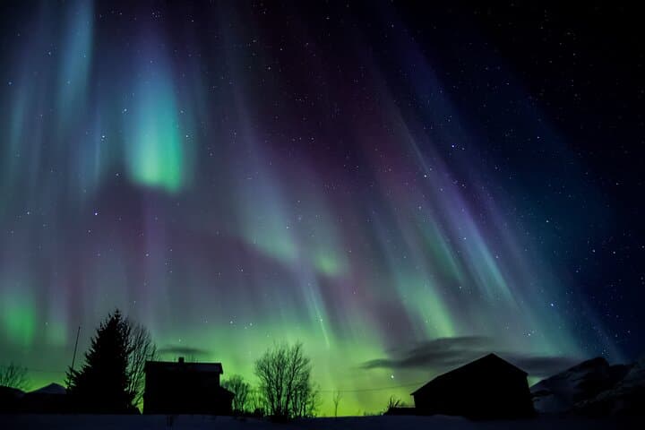 Chase the Northern Lights: Tromsø Full-Night Aurora Minibus Tour photo 5