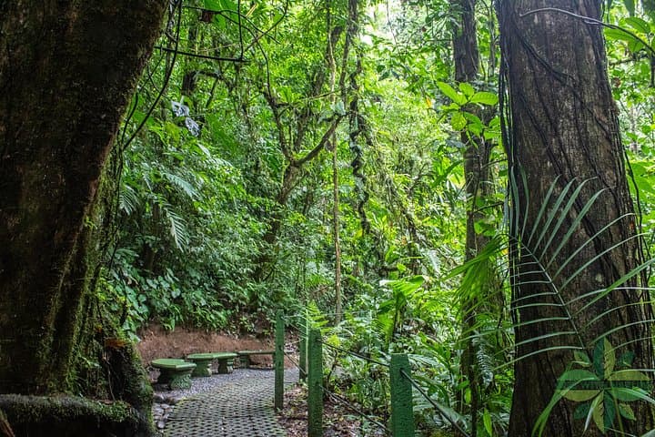 La Fortuna's 3 Essentials: Arenal Volcano, Hanging Bridges & Waterfall Private Tour photo 2
