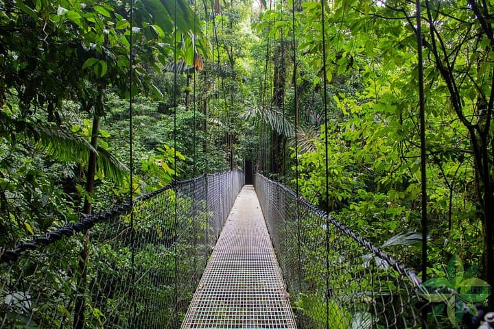 La Fortuna's 3 Essentials: Arenal Volcano, Hanging Bridges & Waterfall Private Tour photo 3