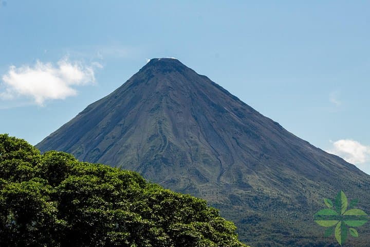 La Fortuna's 3 Essentials: Arenal Volcano, Hanging Bridges & Waterfall Private Tour photo 4