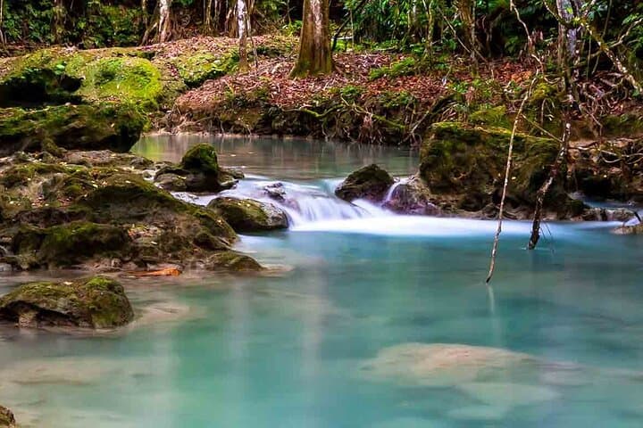 Exotic Blue Hole and Secret Falls Tour — Ocho Rios Blue Hole Guide photo 2