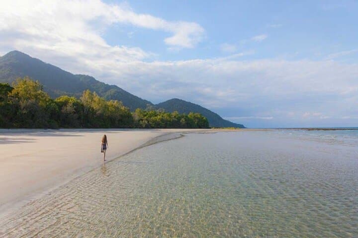 Daintree & Cape Tribulation Day Tour from Cairns: Rainforest, River Cruise & Beach photo 4