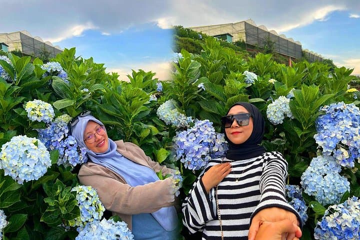 Da Lat Flower City 2-Day Escape from Ho Chi Minh: Waterfalls, Hydrangeas & Pinewood Nights photo 4