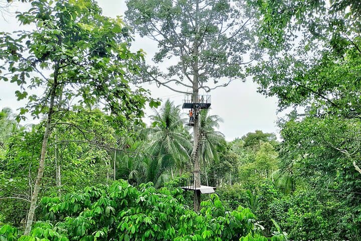 Koh Samui ATV and Zipline Adventure in Lipa Noi — Jungle Combo Tour photo 3