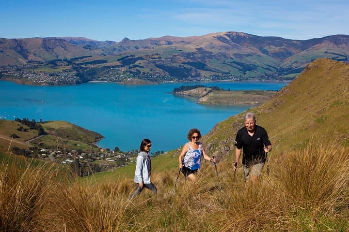 Explore Banks Peninsula: Luxury Crater Rim Walk Adventure