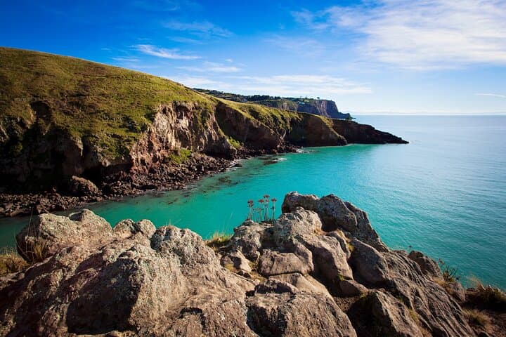 Explore Banks Peninsula: Luxury Crater Rim Walk Adventure photo 6