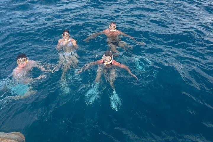 Waikiki Turtle Snorkeling & Sunrise Sailing: Small-Group Tour from Ala Wai photo 6