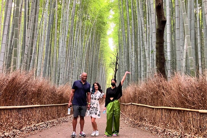 Private 8-Hour Kyoto Walking Tour: Temples, Tea & Hidden Alleys photo 2