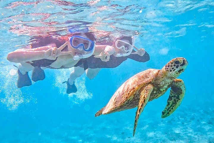 Miyakojima Sea Turtle Snorkel: High-Encounter Reef Tour in Okinawa photo 2