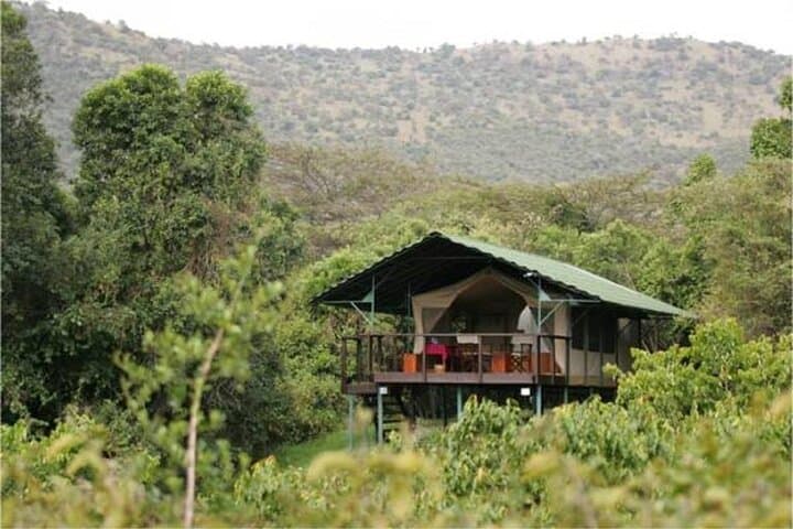 3-Day Masai Mara Safari: 4x4 Game Drives, Mara River & Big Five